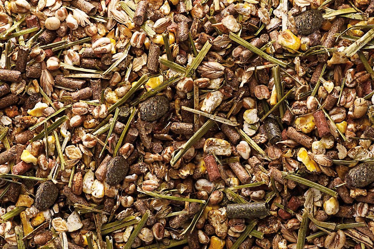 strucomix senior feed